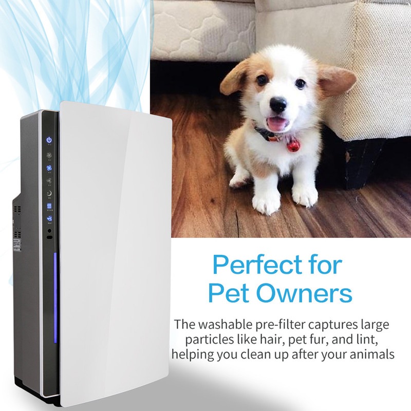 do air purifiers get rid of dog hair