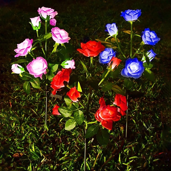 Image 12