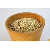 AMARANTH cereal grain and flower *ORGANIC* seeds