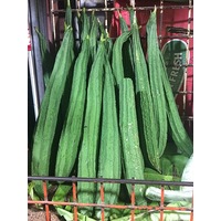 ANGLED LUFFA / OKRA CEE GWA / RIDGE GOURD / SINQUA seeds