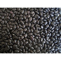 BEAN 'Black Turtle Bean' / Black Bean / BUSH TYPE seeds