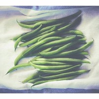 BEAN CLIMBING 'Blue Lake' seeds