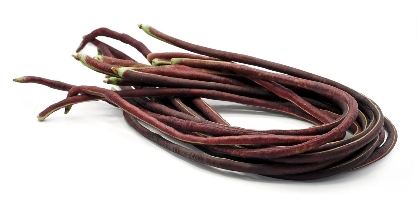 BEAN DWARF 'Red Snake' / Asparagus Bean / Yard Long Bean seeds