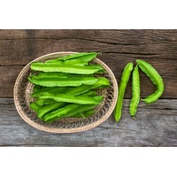 BEAN 'Winged' / GOA BEAN/ ASPARAGUS PEA seeds