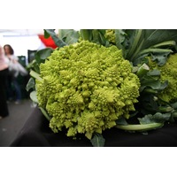BROCCOLI 'Romanesco' / Romanesque cauliflower / Broccolo seeds