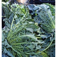 Broccoli 'Italian Spigariello' seeds