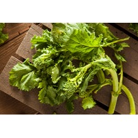 Brocoletti / Mini Broccoli / Rapini seeds
