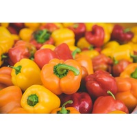 CAPSICUM MINI SWEET MIX seeds