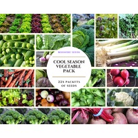 COOL SEASON / WINTER VEGETABLE PACK - 22 packets of seeds