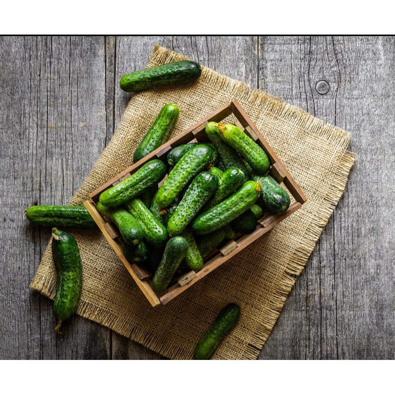 Buy CUCUMBER 'Pickling Gherkin' seeds MyDeal