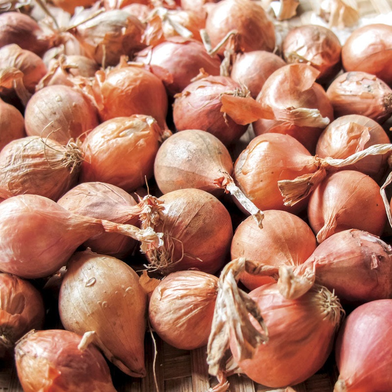 Buy FRENCH SHALLOTS / ESCHALLOTS *ORGANIC* - MyDeal