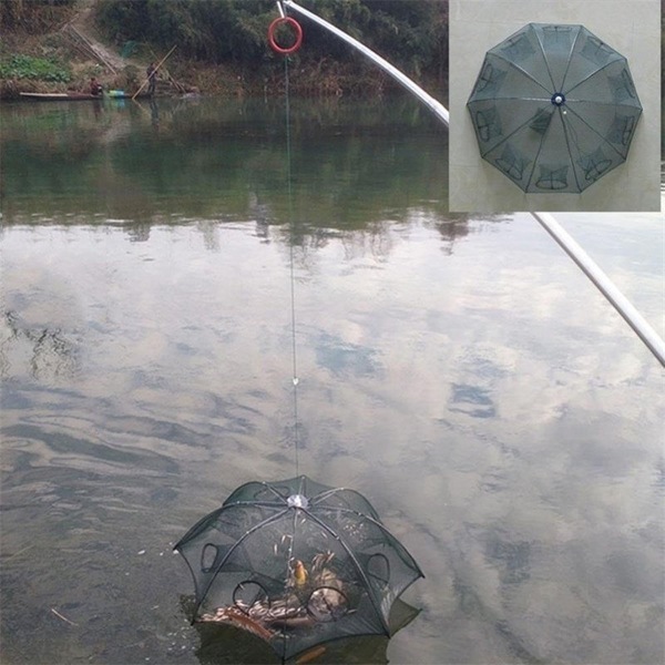 Image 10