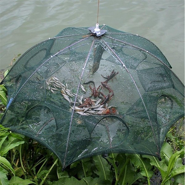 Image 11