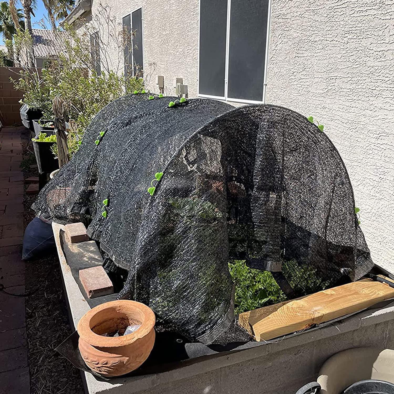 Image 10