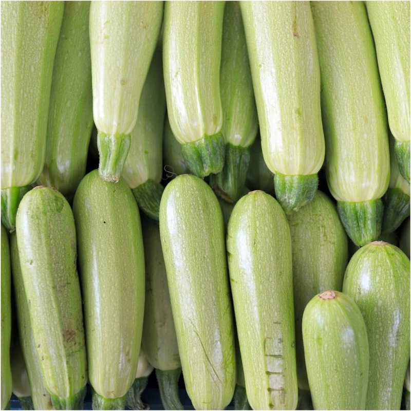 Buy Zucchini Grey (Lebanese) seeds MyDeal