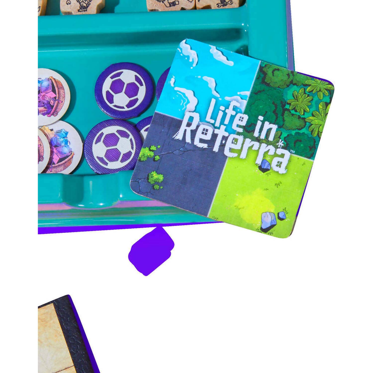 Image 3