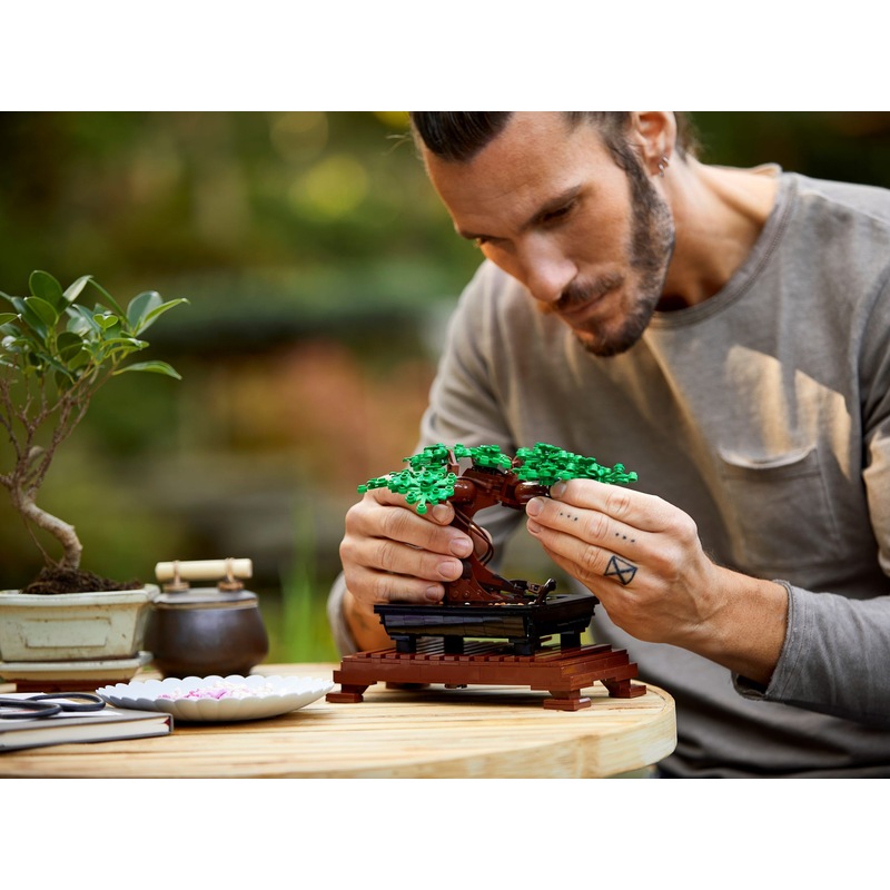 Buy LEGO 10281 Bonsai Tree Creator Expert MyDeal