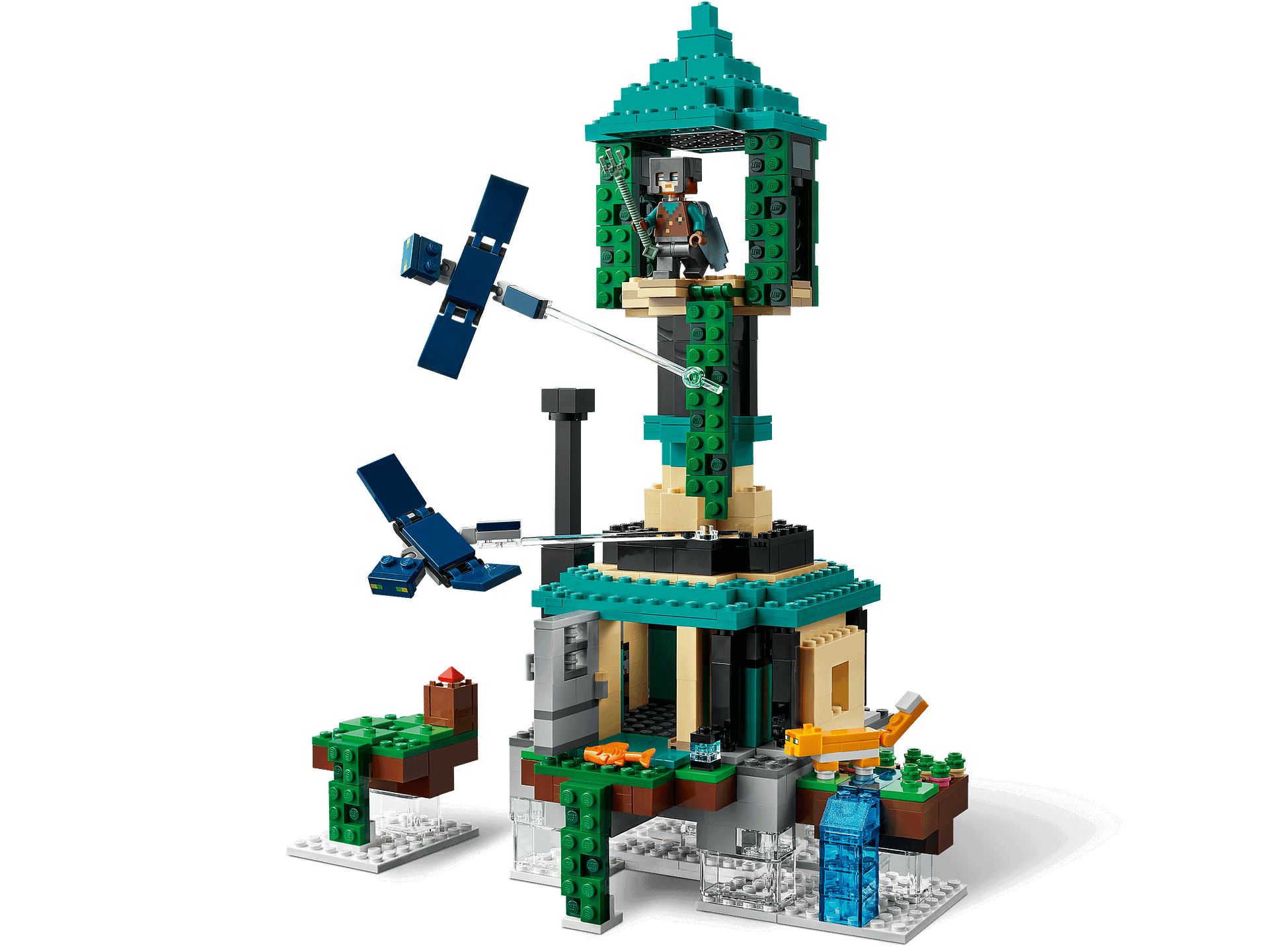 Image 7