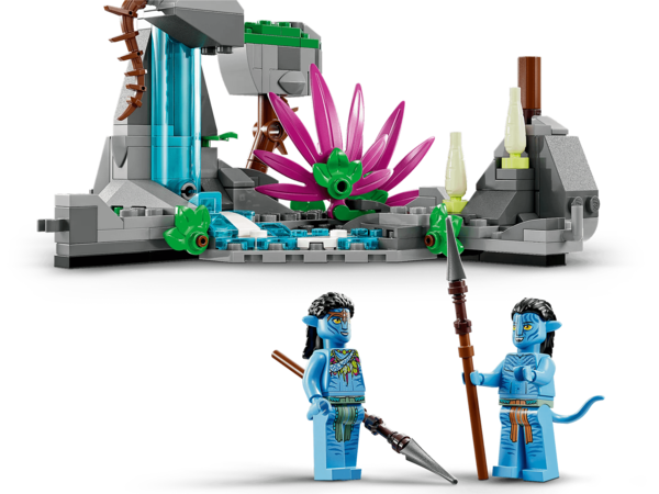 Image 6