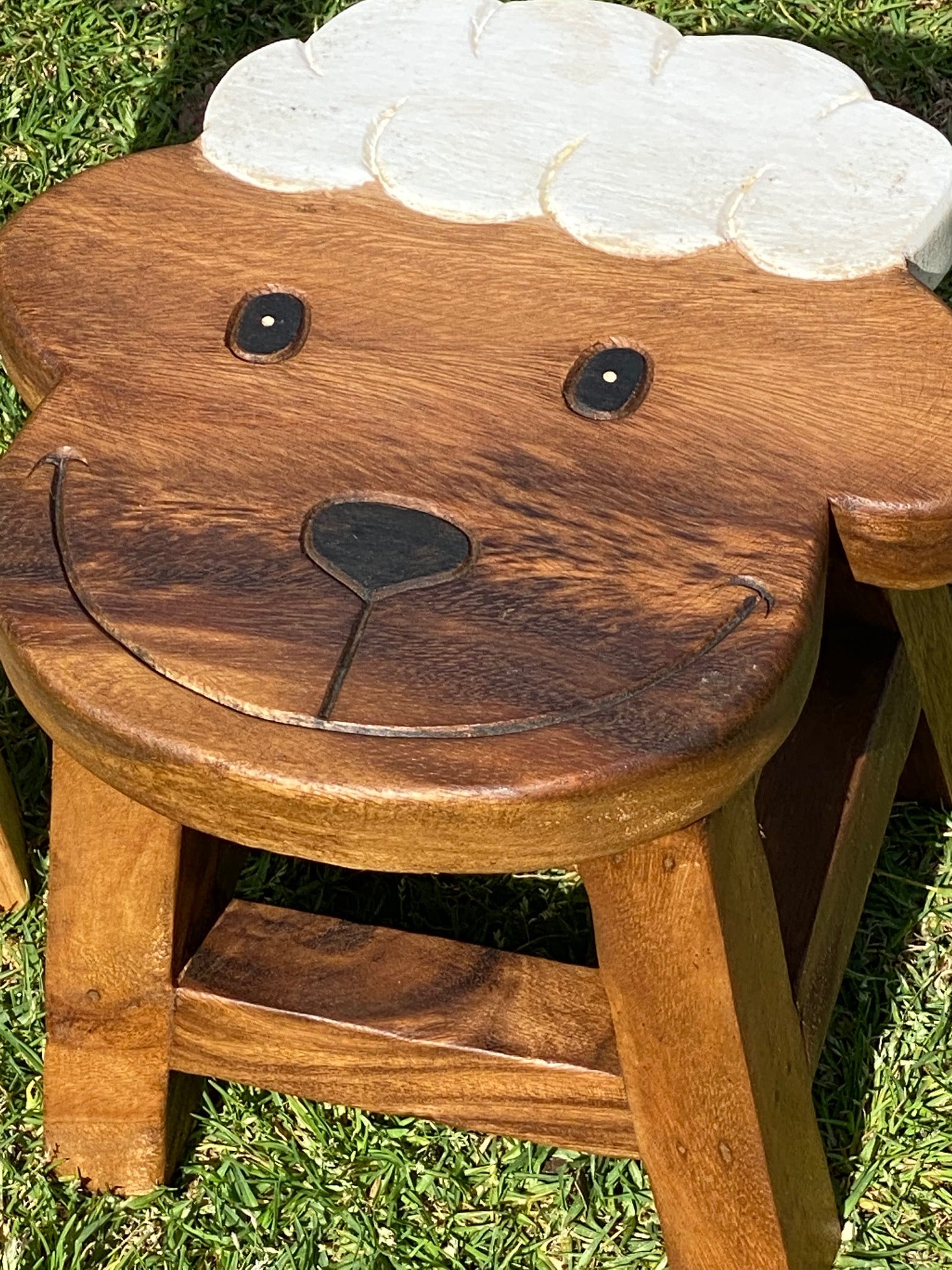 Image 15