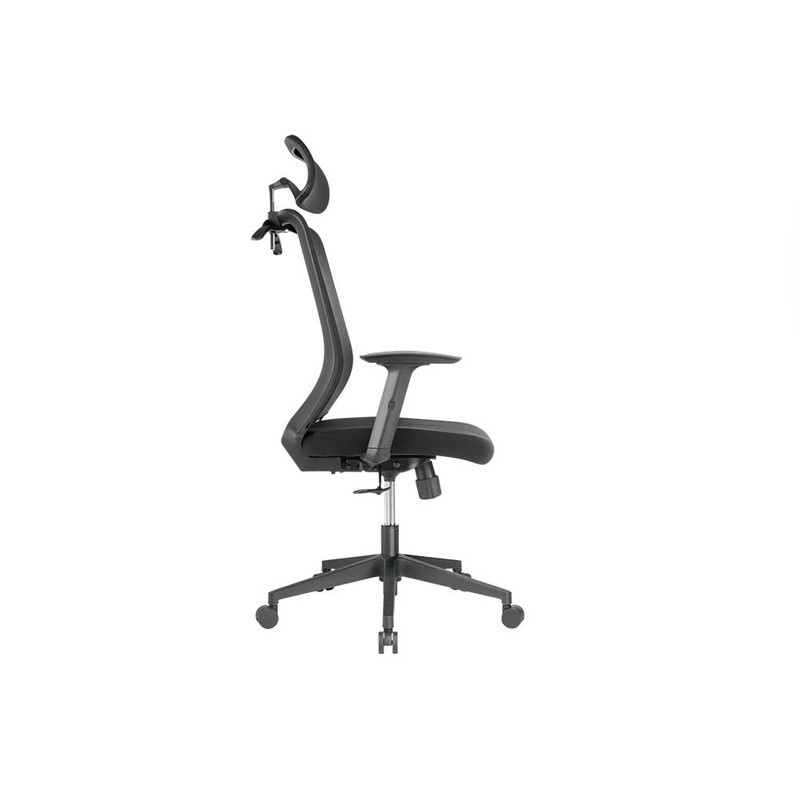 Buy Brateck Ergonomic Mesh Office Chair with Headrest Mesh Fabric