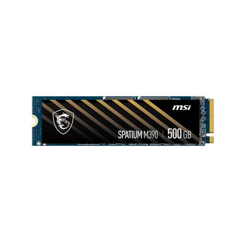 Buy MSI Spatium M390 500GB PCIe Gen3x4 NVMe 3D NAND SSD [SPATIUM M390 ...