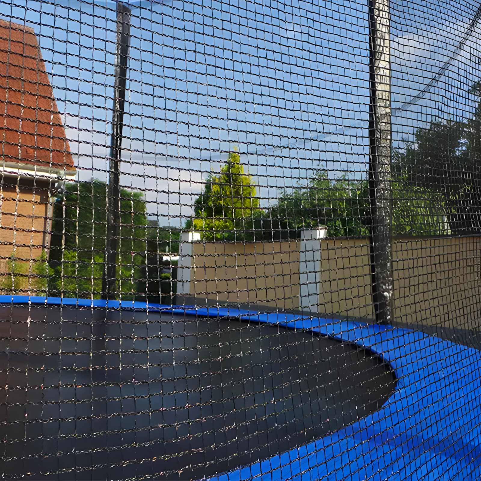 Image 11
