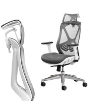 MIUZ Ergonomic Mesh Office Chair (Grey)