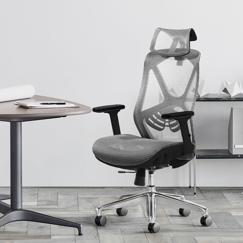 Buy MIUZ Ergonomic Mesh Office Chair Executive Chairs Study Computer