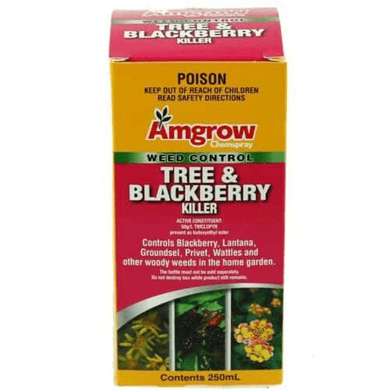 Buy Weed Killer Amgrow Tree & Blackberry Killer 250ML MyDeal