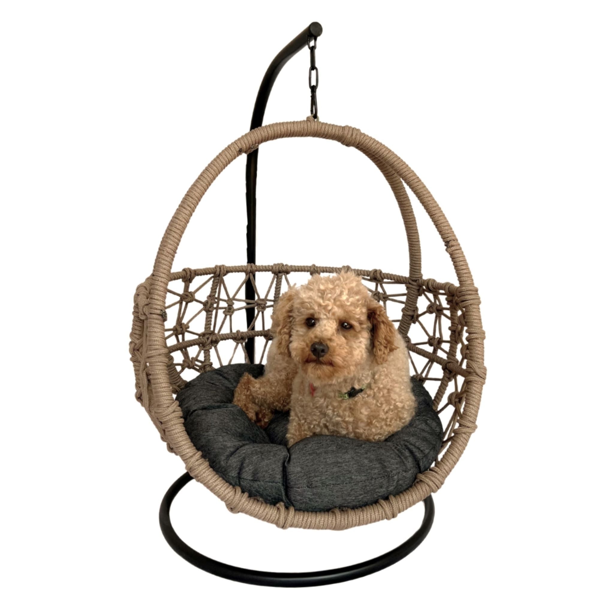 dog egg chair