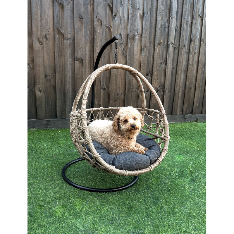 Buy Esmee Wicker Rope Hanging Pet Bed , Cat / Dog Swing Egg Chair