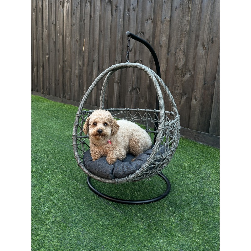 Buy Esmee Wicker Rope Hanging Pet Bed , Cat / Dog Swing Egg Chair
