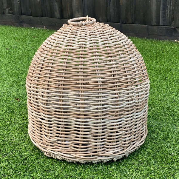 Image 9