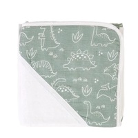 Hooded Towel - Dino Sage