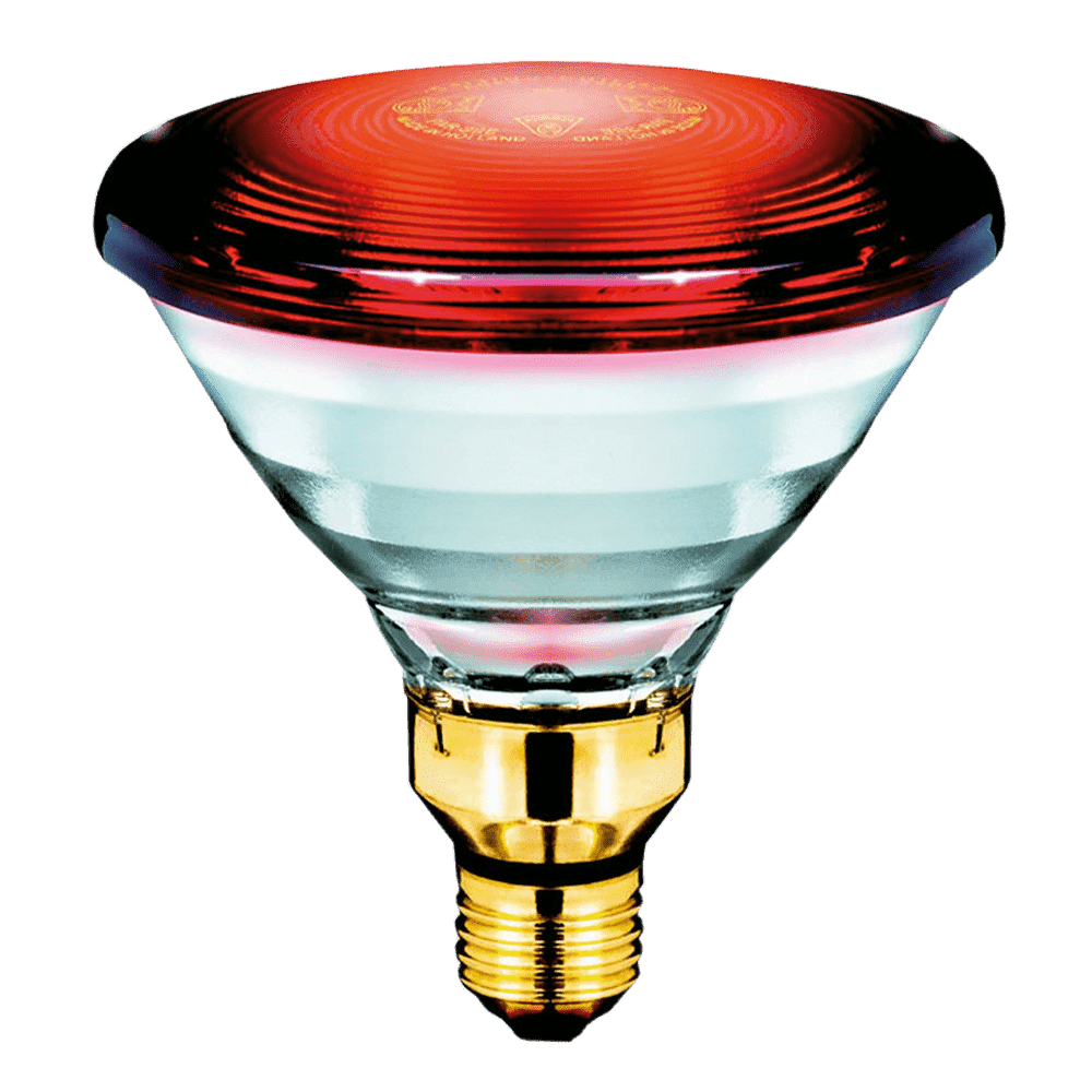 Philips infrared store bulb 150w