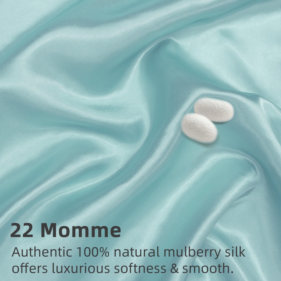 LINENOVA 2Pcs 6A Grade 100% Mulberry Silk Double-sided Silk Pillowcases Luxury 22 Momme - Haze Blue