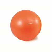 Exercise Balls