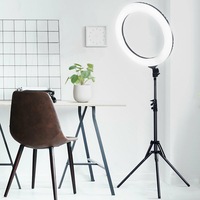 Vokwell 19" 5500K Dimmable Diva LED Ring Light Diffuser With Stand Make Up Studio Video