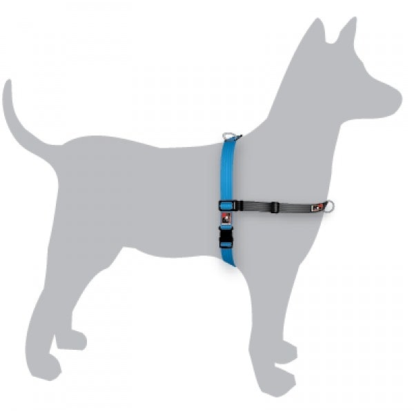 Buy Black Dog Balance Halter Front Back Attach Dog Harness