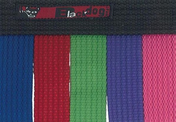Image 5