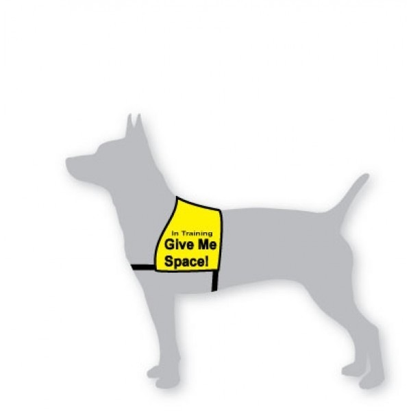 Image 22