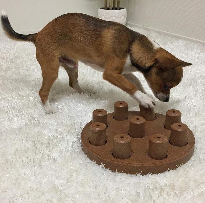 Buy Nina Ottosson Smart Interactive Dog Toy In Wooden Composite - MyDeal