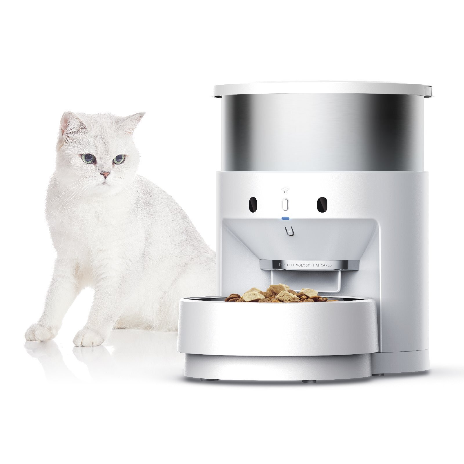 Blitz automatic outlet dog feeder