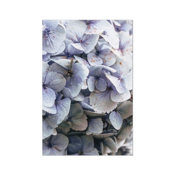 Image 17