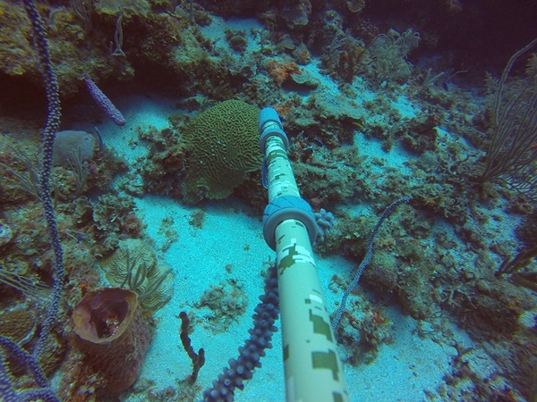 Image 9