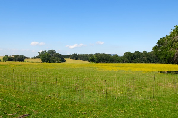Image 20