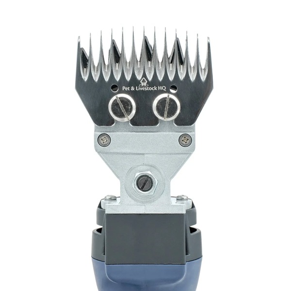 Image 7