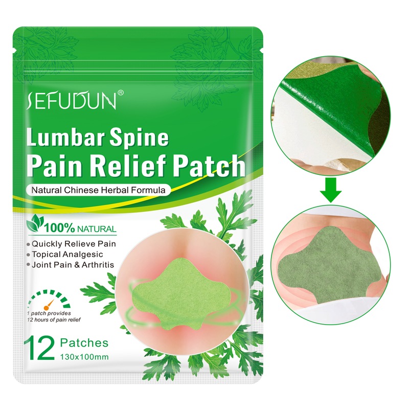 Buy Sefudun Lumbar Spine Pain Relief Patch Back Herbal Fast Plaster ...