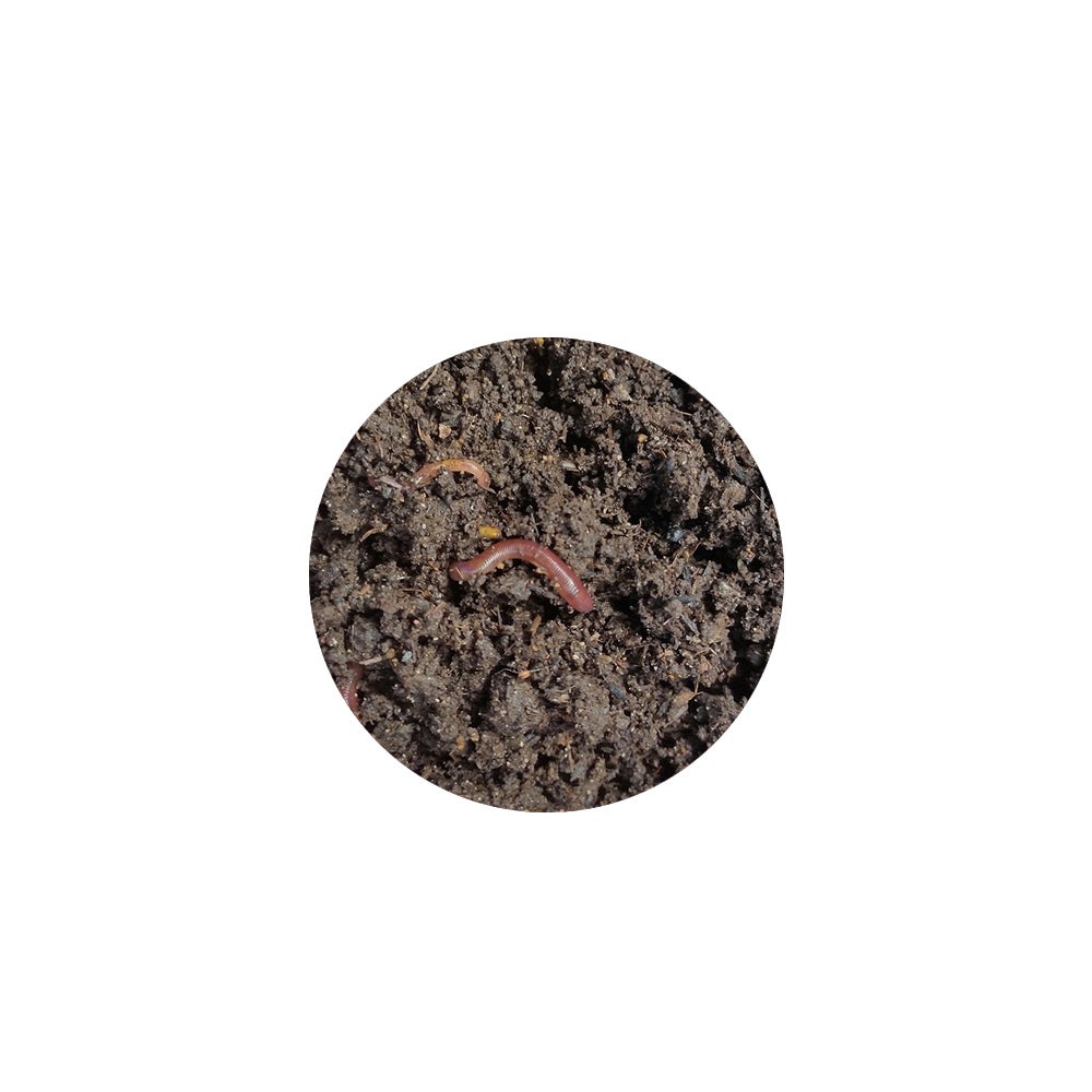 Organic Gardening Solutions Vermicompost / Worm Castings - 25L - Nutrient Rich Compost